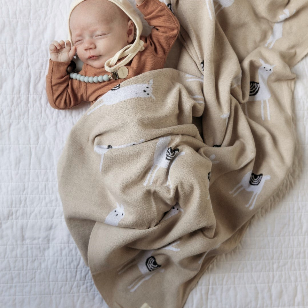 Luxury Knit Llama Swaddle Baby Blanket by Bleu La La