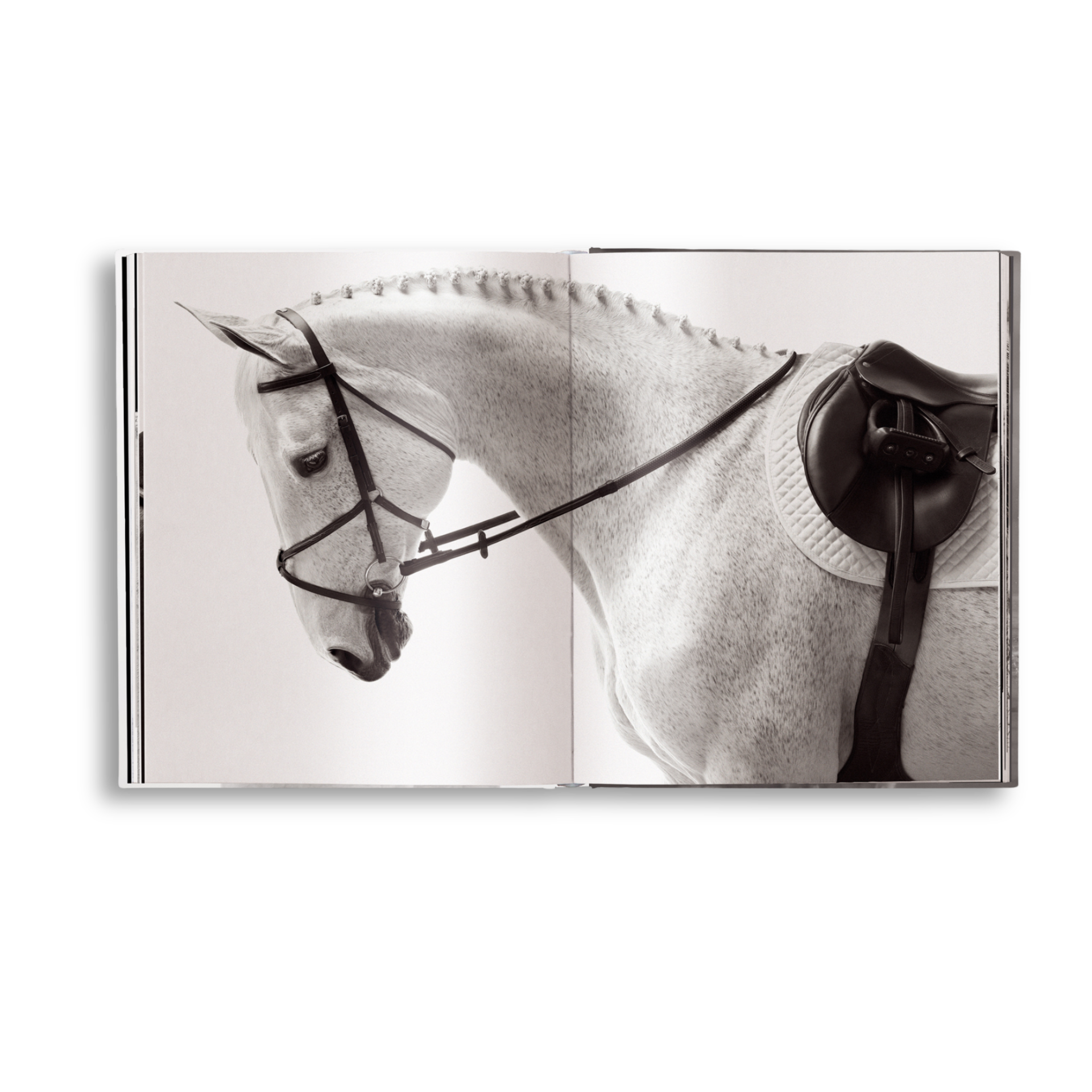 Untamed Spirits: Horses From Around the World