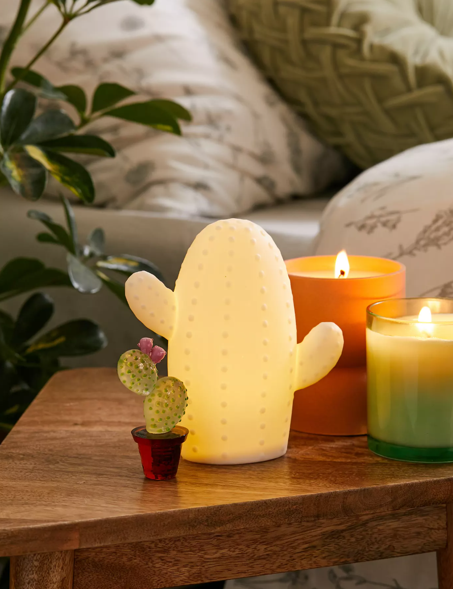 Ceramic Cactus LED light