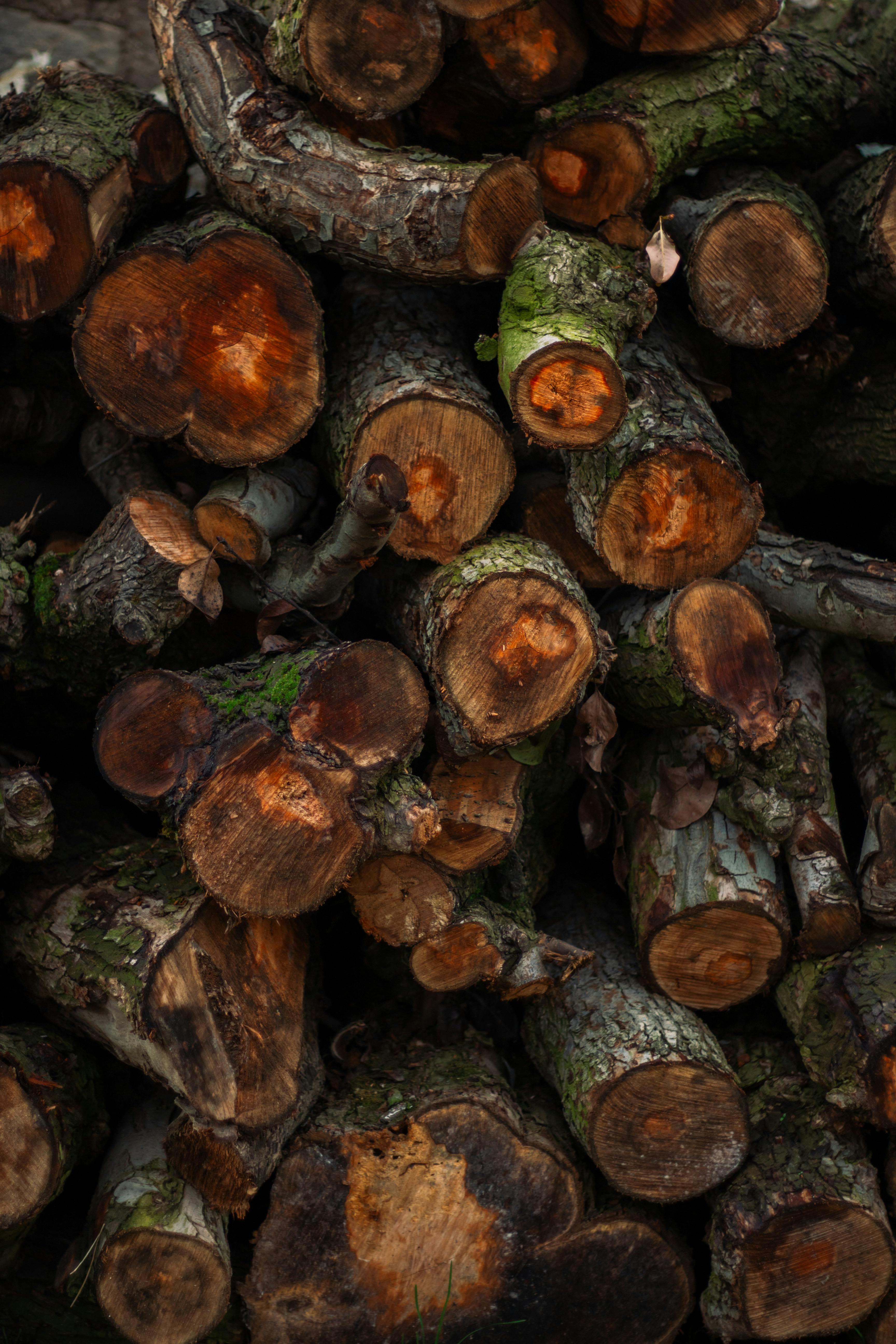 Hand-Poured Travel Candle, Terra Verde