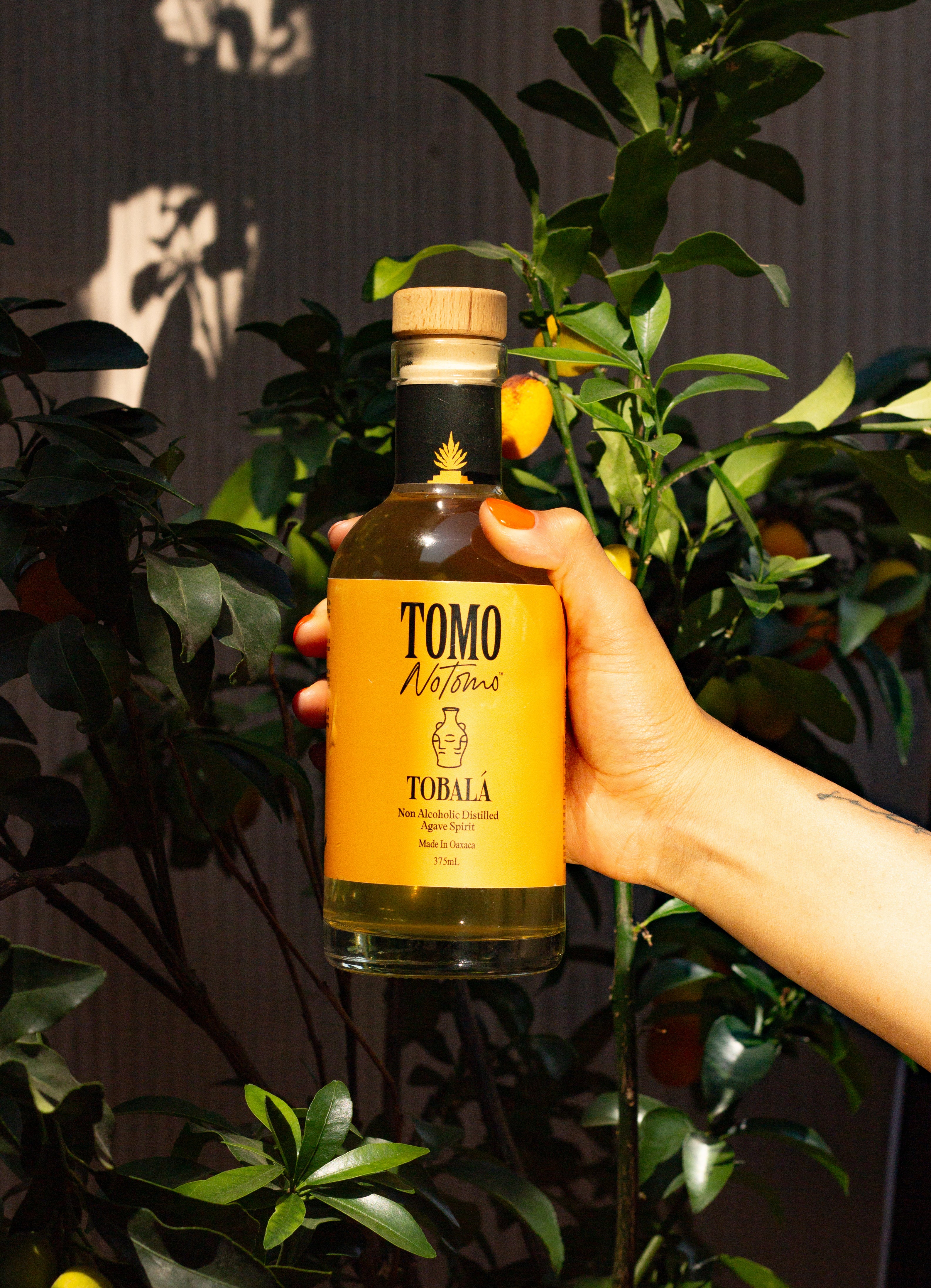 Non-Alcoholic Agave Spirit 750m | TOMONOTOMO