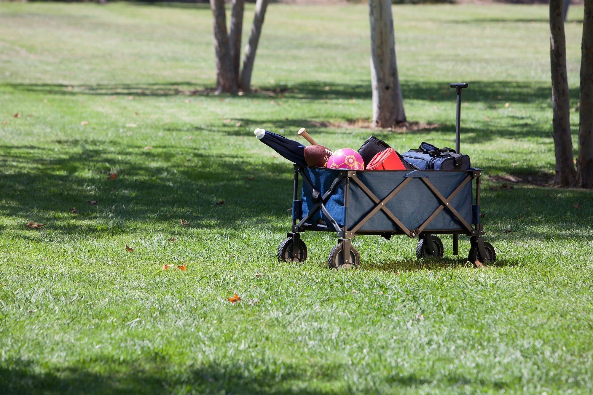 Adventure Wagon Portable Utility Wagon by Picnic Time Family of Brands