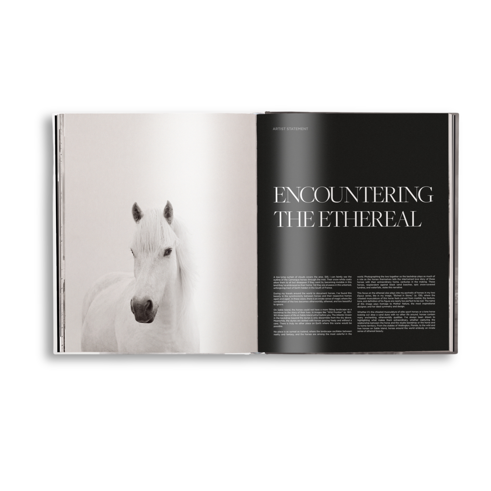 Untamed Spirits: Horses From Around the World