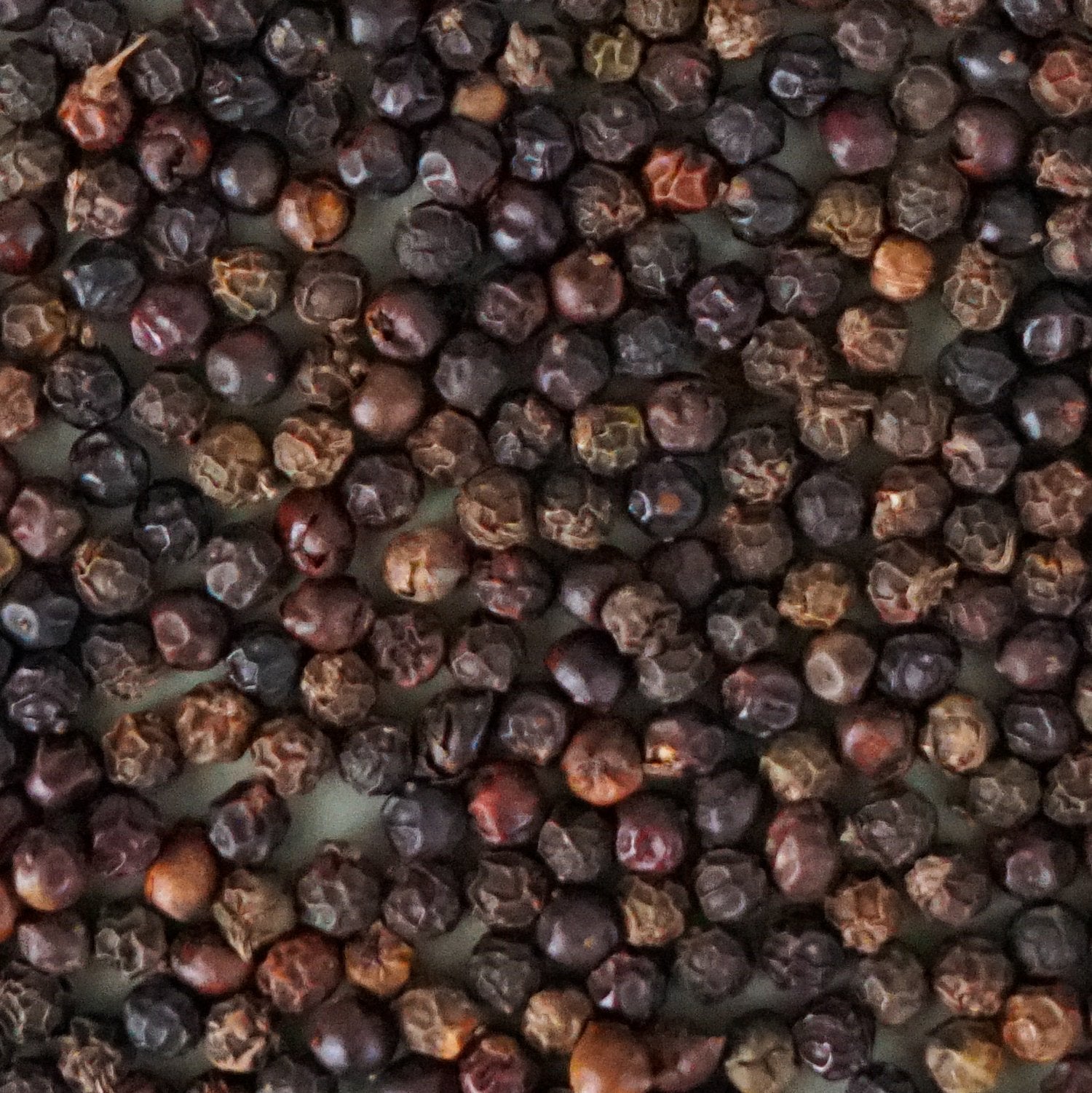 Single-Origin Black Peppercorn | SOURCERY HEIRLOOM SPICES