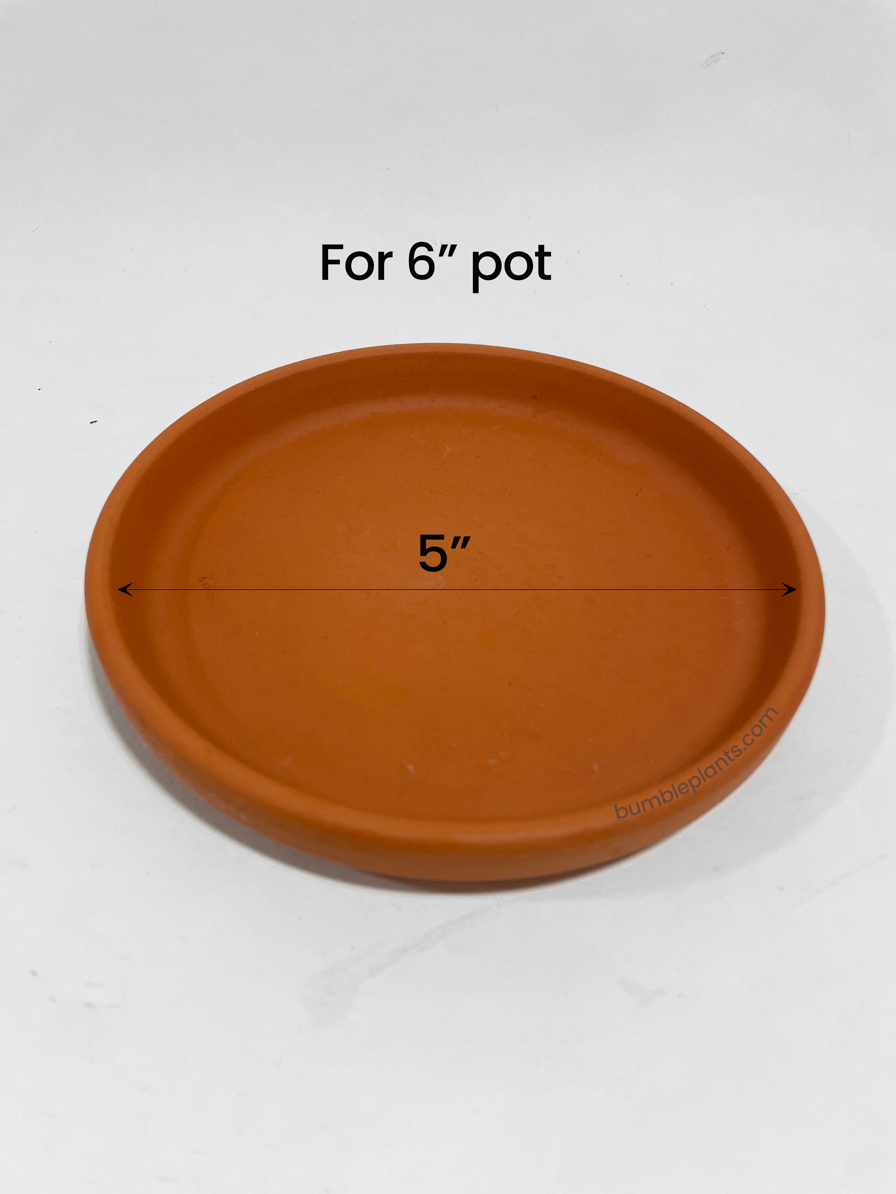 Modern Boho Terracotta Pot Saucer by Bumble Plants