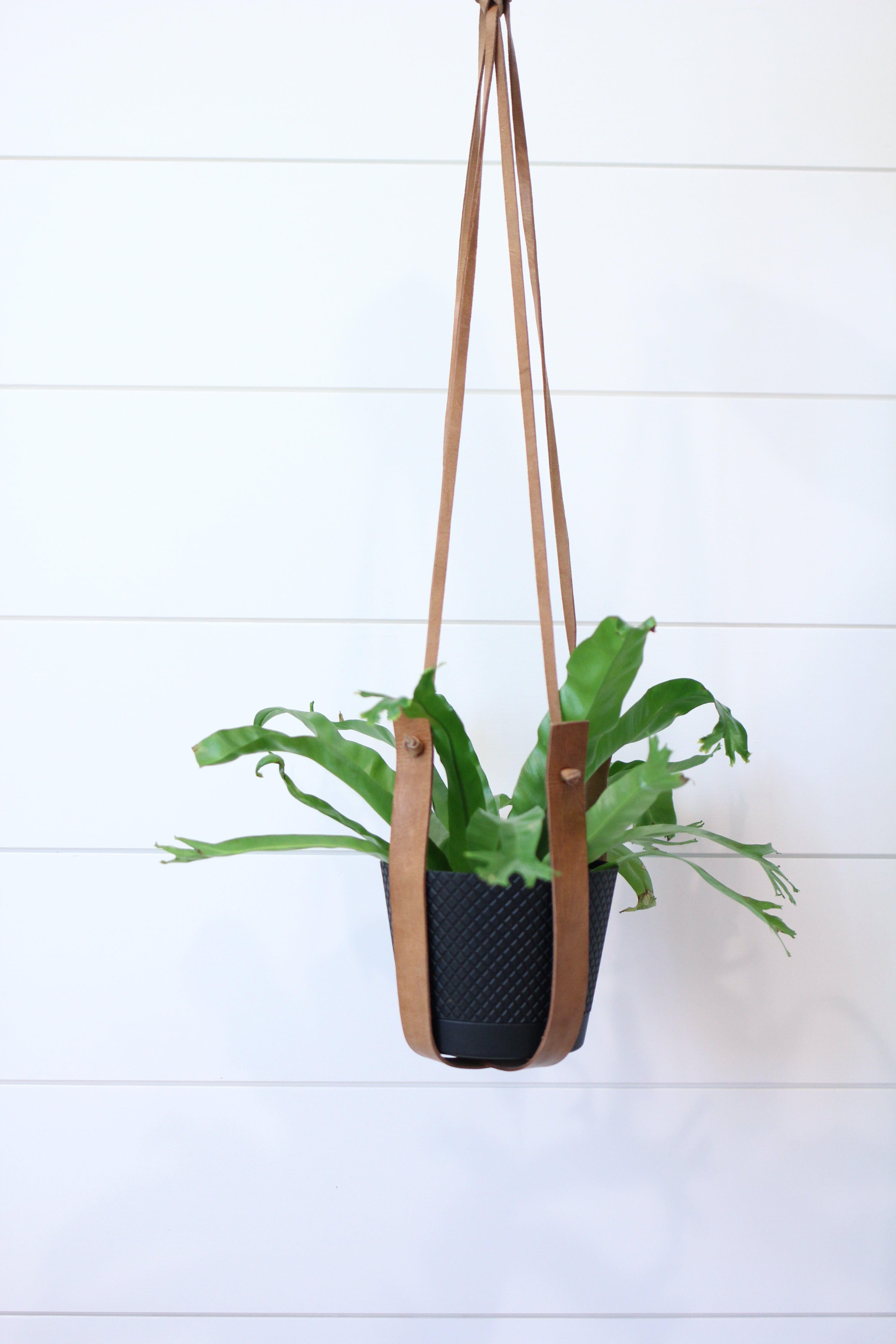 Large Flourish Leather Plant Hanger by Jubilee Trading Company