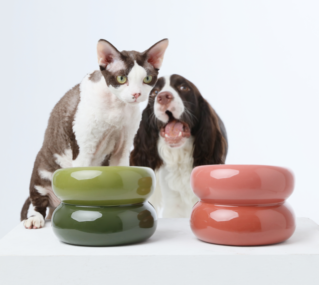 Soufflé Pet Bowl - Rose Pink by PEHOM