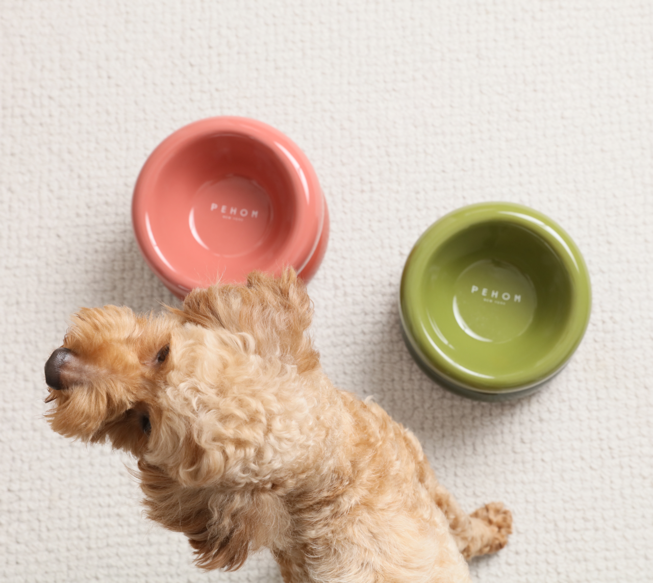 Soufflé Pet Bowl - Rose Pink by PEHOM