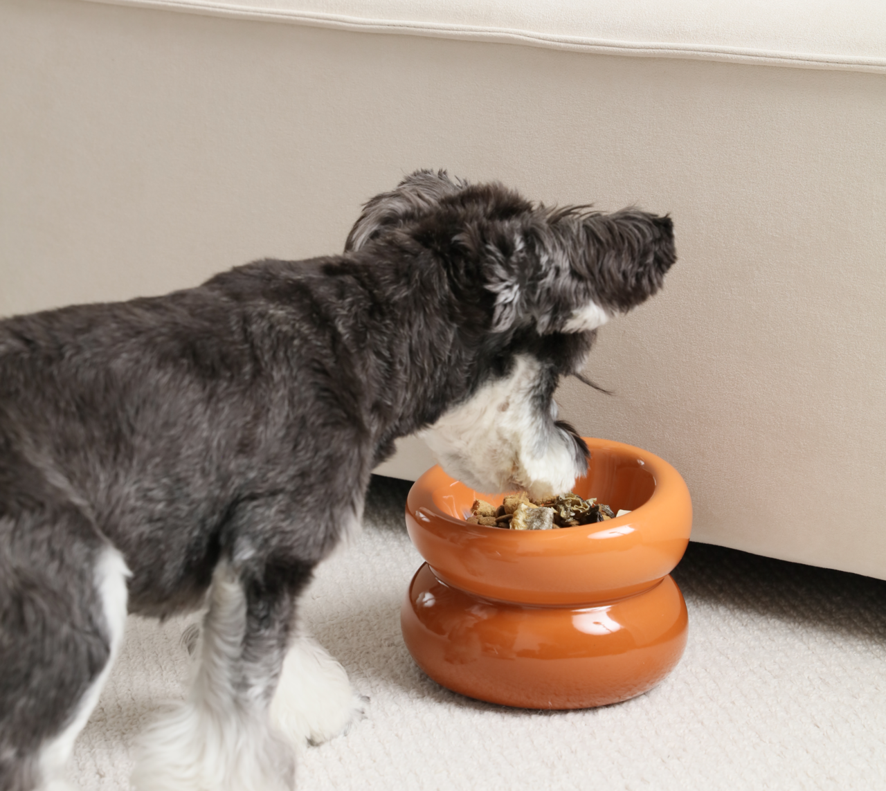 Soufflé Pet Bowl - Rose Pink by PEHOM