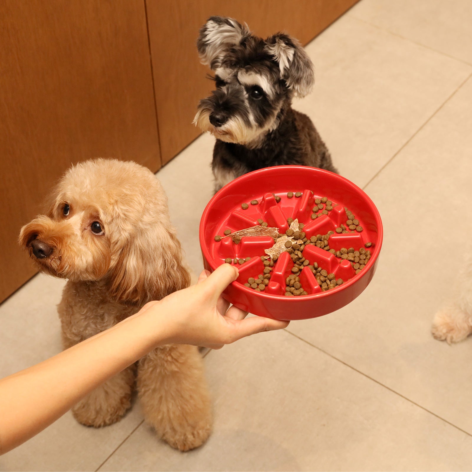 [Wave] Slow Feeder Dog Bowls - Pink / Beige / Orange by PEHOM