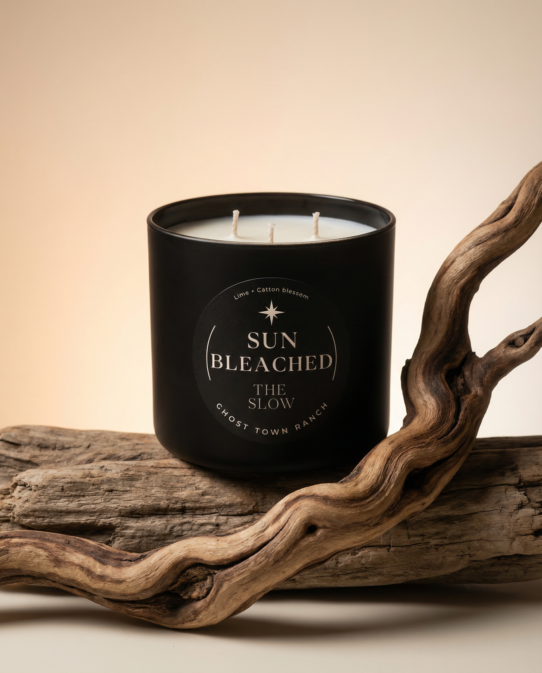 The Slow, Hand-Poured 3-wick Coconut-Soy Candle, 18oz
