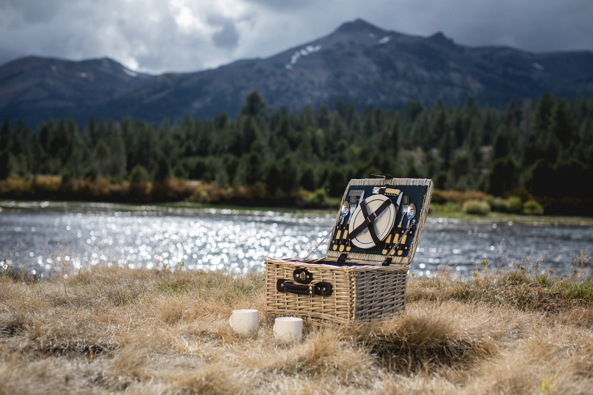 Catalina Picnic Basket by Picnic Time Family of Brands