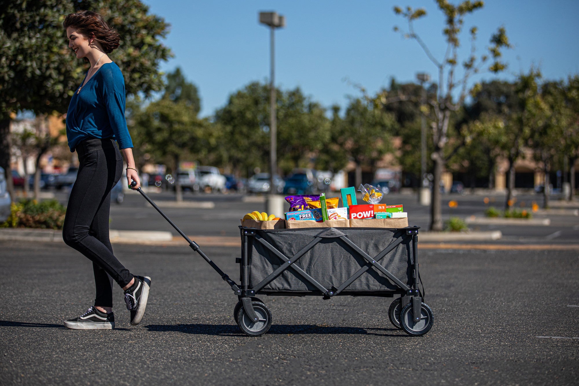 Adventure Wagon Portable Utility Wagon by Picnic Time Family of Brands