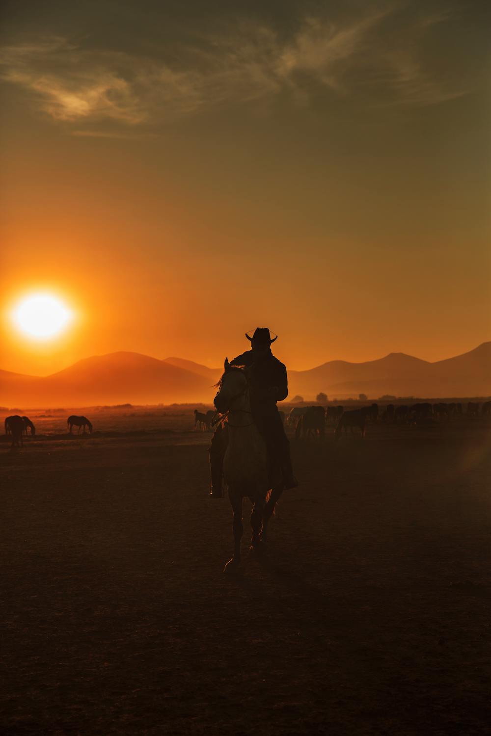 Desert Rider Sunbock, SPF50 Stick | GHOST TOWN RANCH