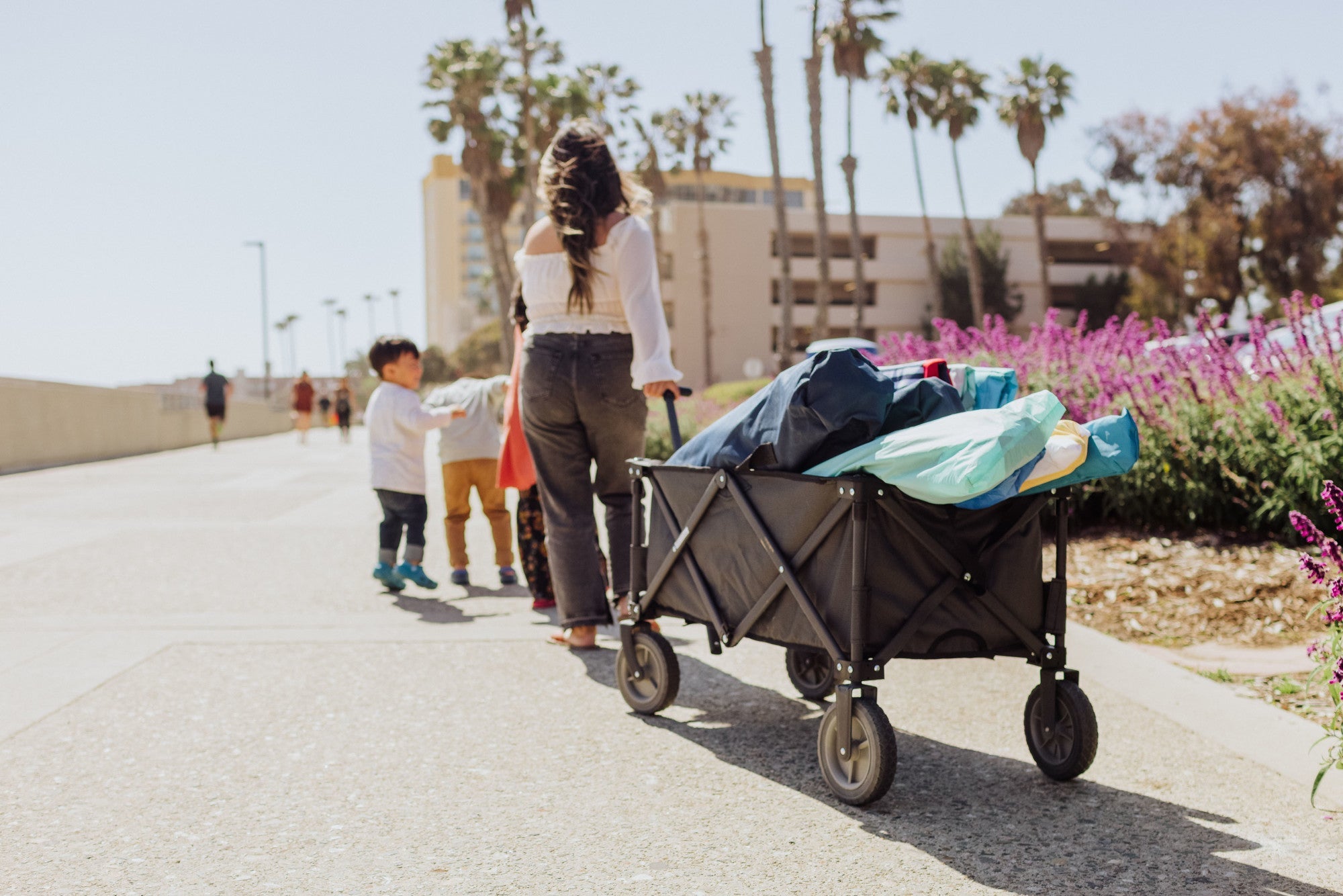 Adventure Wagon Portable Utility Wagon by Picnic Time Family of Brands