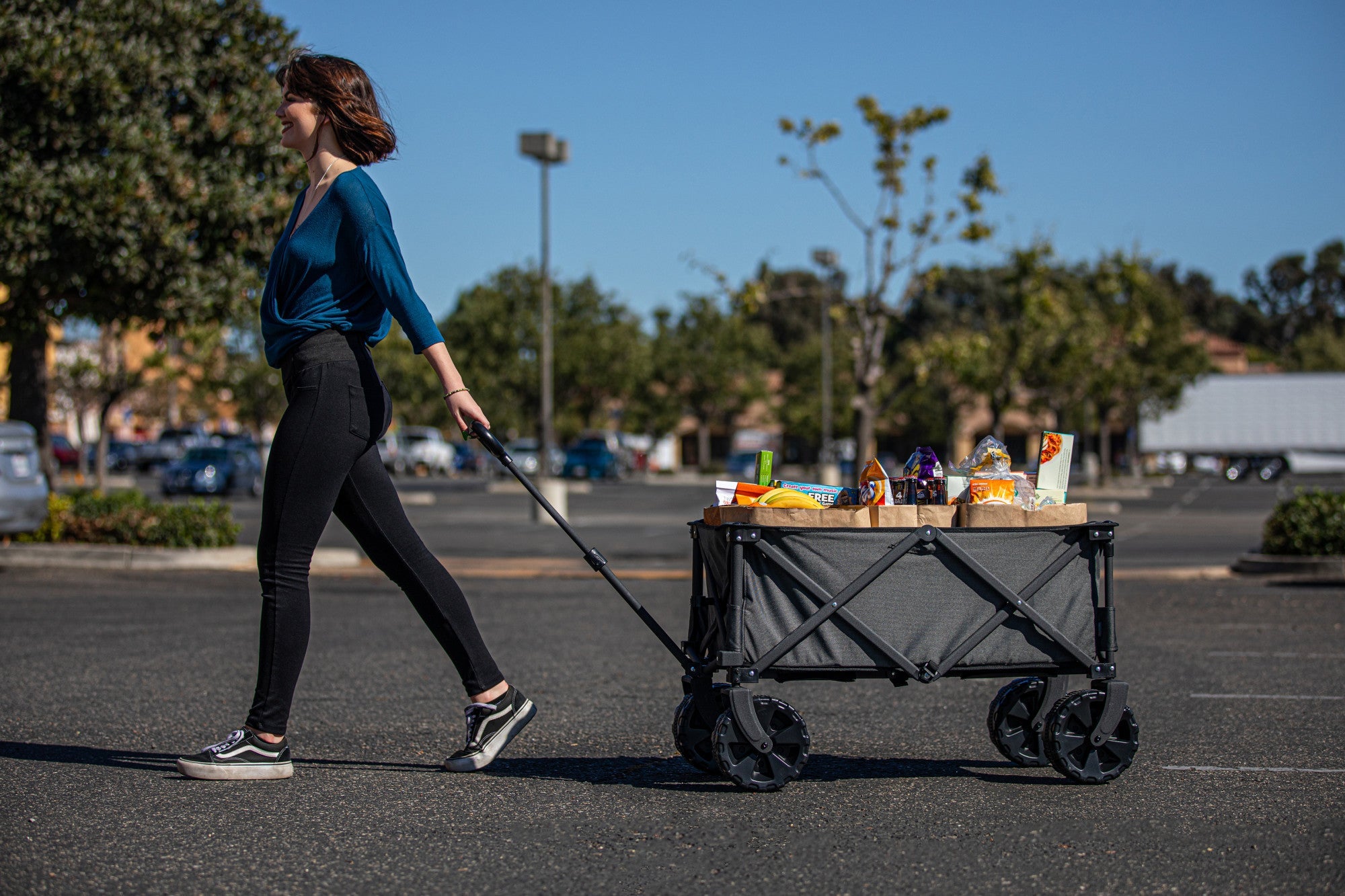 Adventure Wagon All-Terrain Portable Utility Wagon by Picnic Time Family of Brands