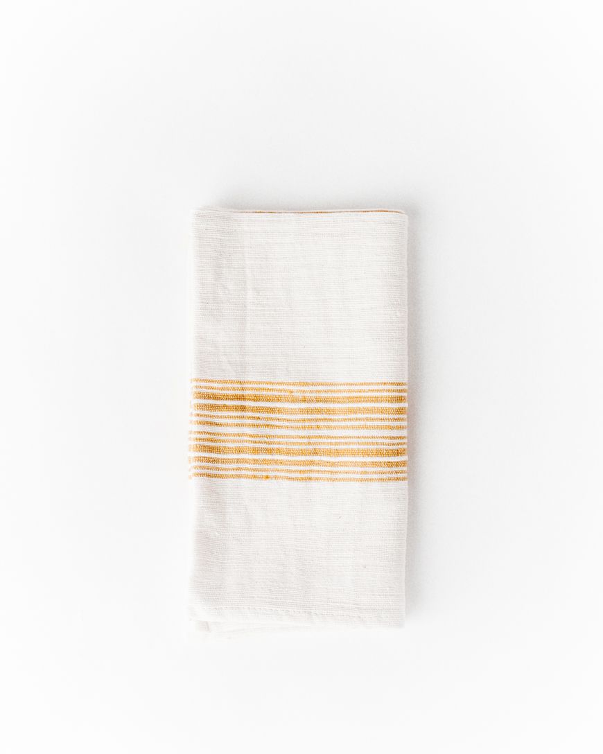 Aden Cotton Dinner Napkin by Creative Women