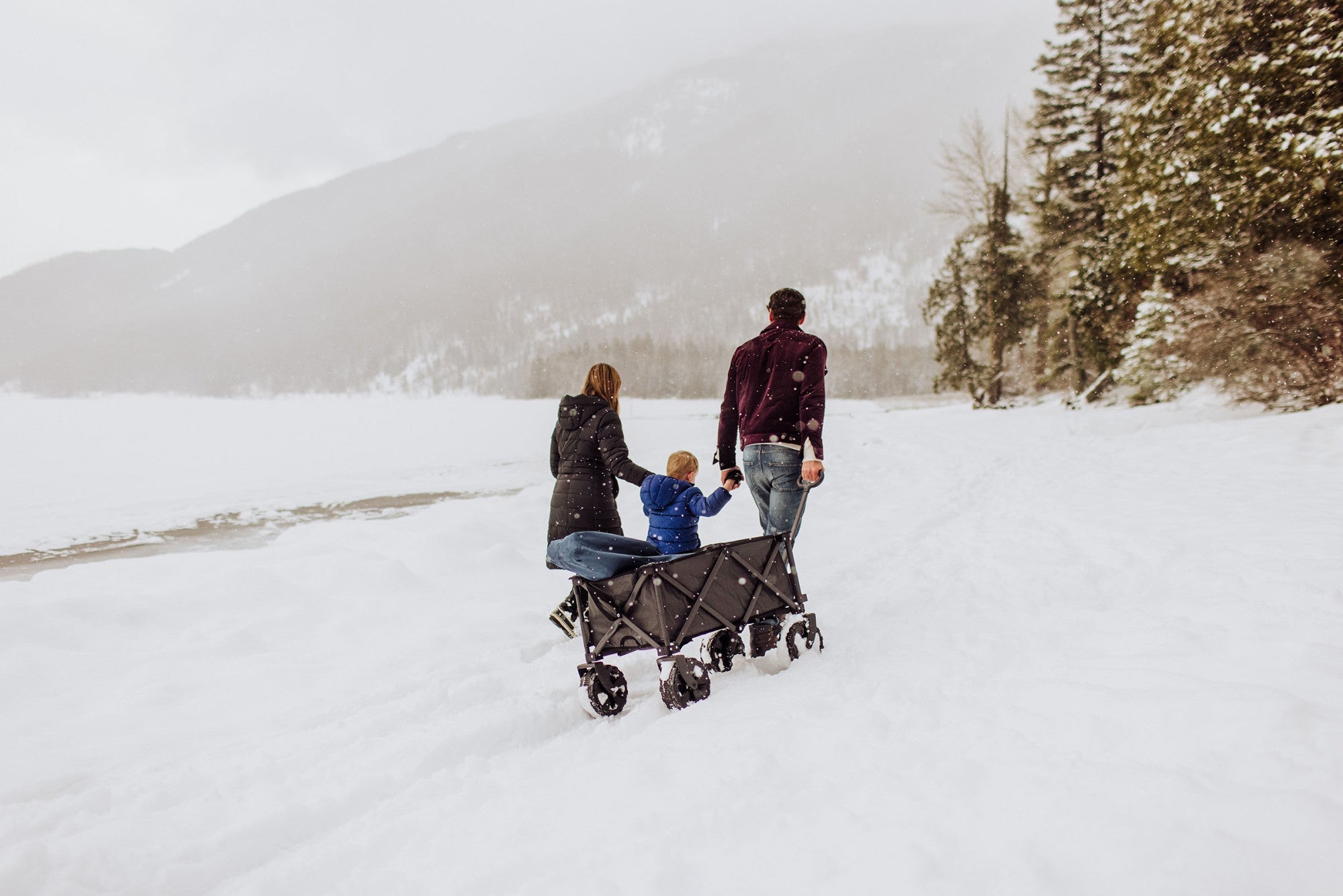 Adventure Wagon All-Terrain Portable Utility Wagon by Picnic Time Family of Brands