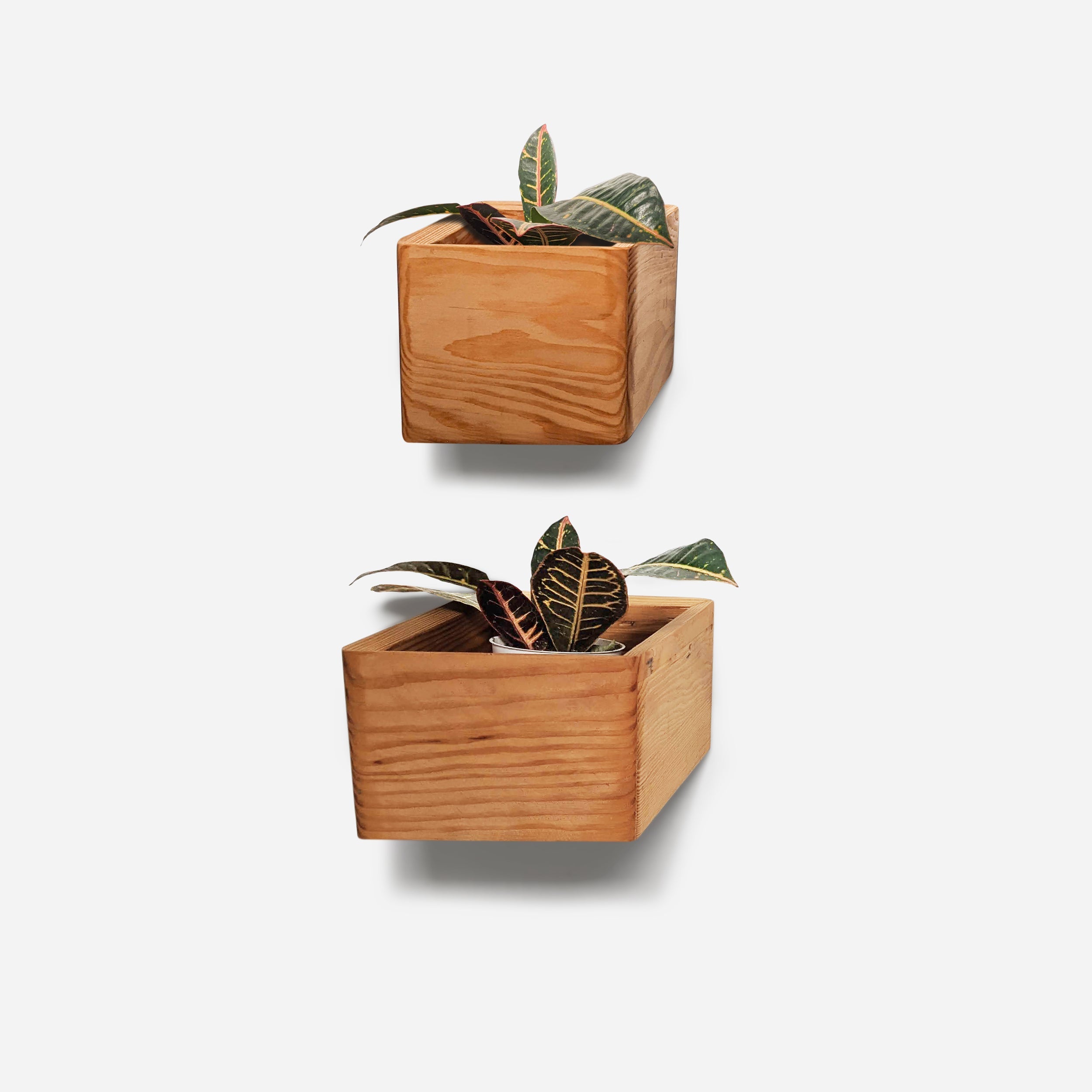 Diamond self-watering, wall-mounted planter by Formr