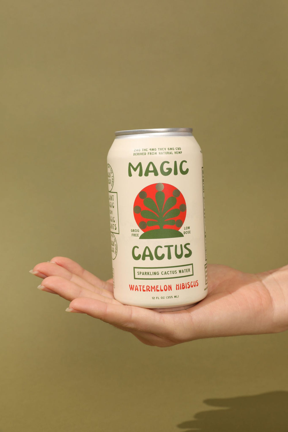 Hemp Drinks | MAGIC CACTUS