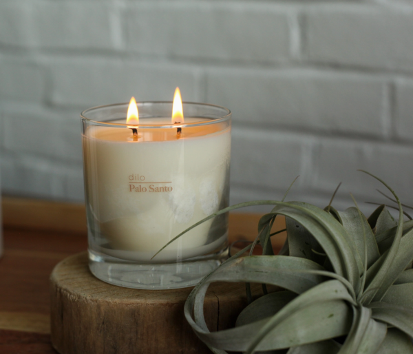 Hand Poured Soy Candle in Cactus Flower, Desert Kush + Palo Santo